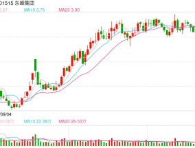 业绩接连滑坡 东峰集团筹划易主