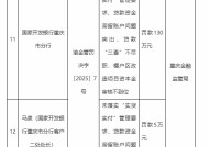 国家开发银行重庆市分行被罚130万元：因未落实“实贷实付”管理要求等违法违规行为