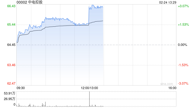 中电控股公布2024年业绩 股东应占溢利117.42亿港元同比增长76.44%